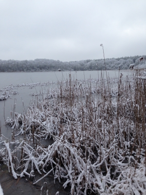 Schlabornsee Winter 2016