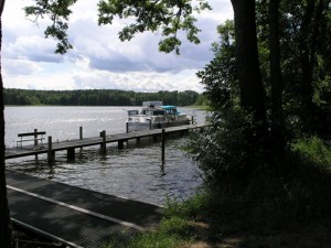 foto (11) 