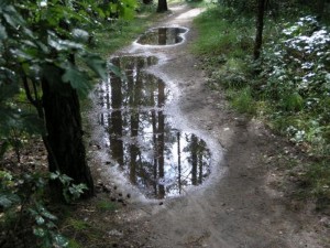foto (7) 